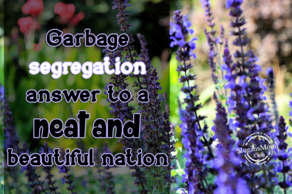 Garbage segregation answer to a neat and beautiful nation