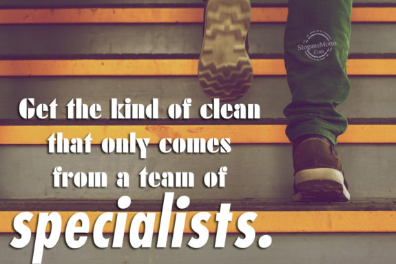 Get the kind of clean that only comes from a team of specialists.