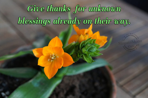 give-thanks-for-unknown-blessings
