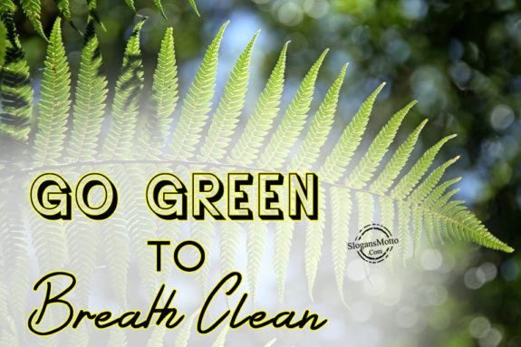 Go Green to Breath Clean