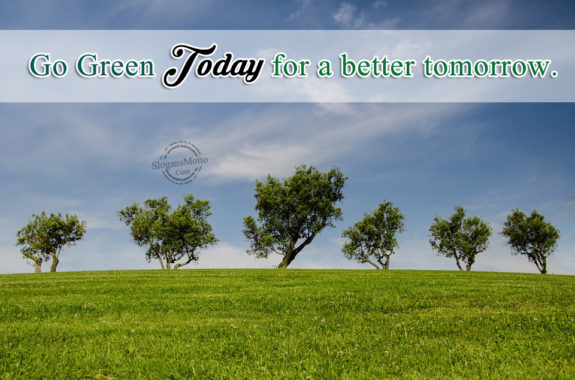 Go Green Today for a better tomorrow.