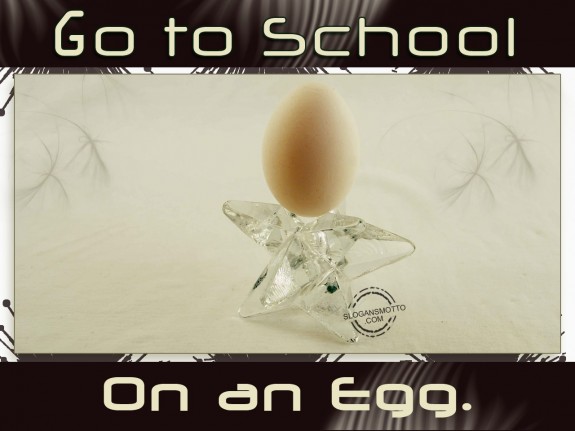 Go to school on an egg