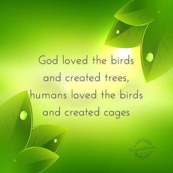 God Loved The Birds