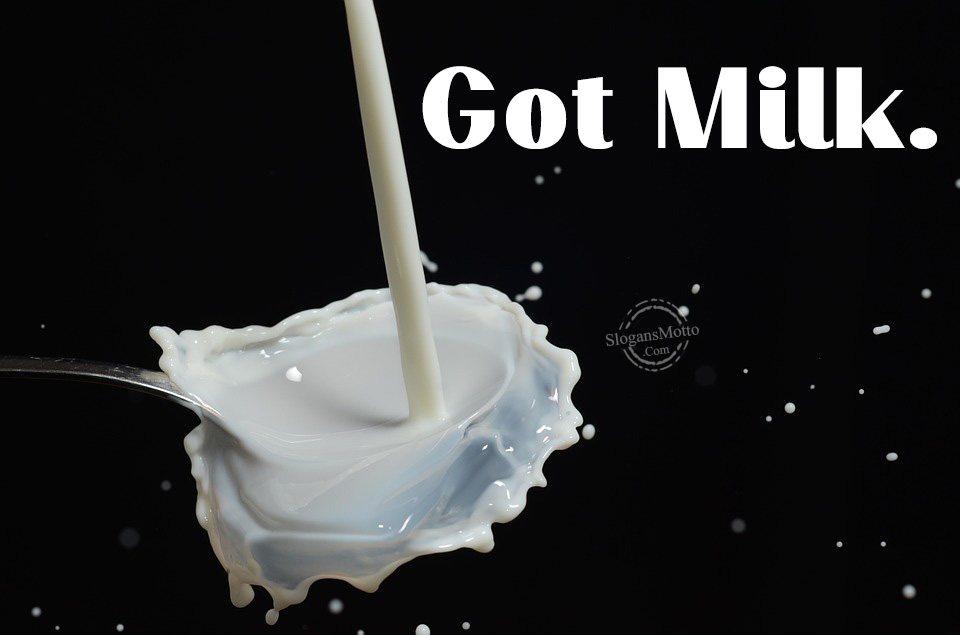 Milk Slogans