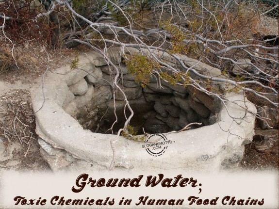 Ground Water; Toxic Chemicals in Human Food Chains