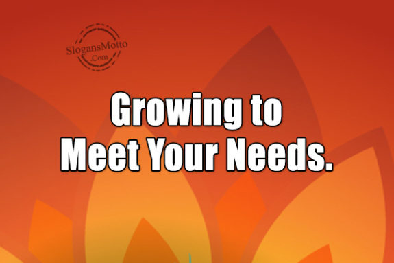 growing-to-meet-your-needs