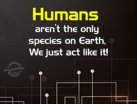 Humans aren’t the only species on Earth, We just act like it!