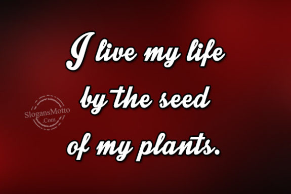 i-live-my-life-by-the-seed