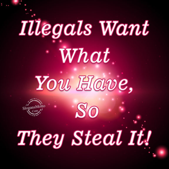 illegals-want-what-you-have