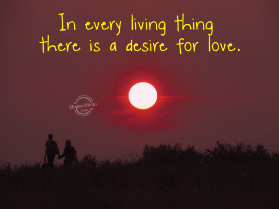 in-every-things-there-is-a-desire-for-love