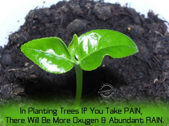 In planting trees if you take PAIN, there will be more oxygen and abundant RAIN