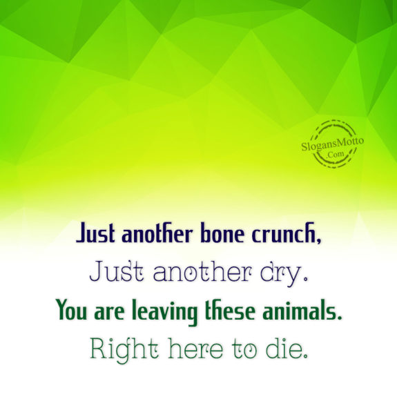 Just Another Bone Crunch