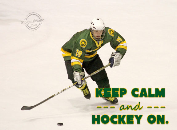 Keep Calm And Hokey On