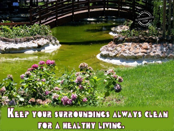 Keep your surroundings always clean for a healthy living