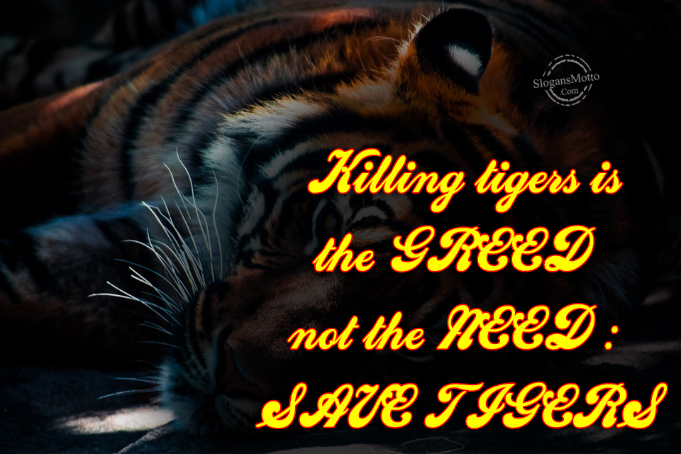 Save Wildlife Slogans