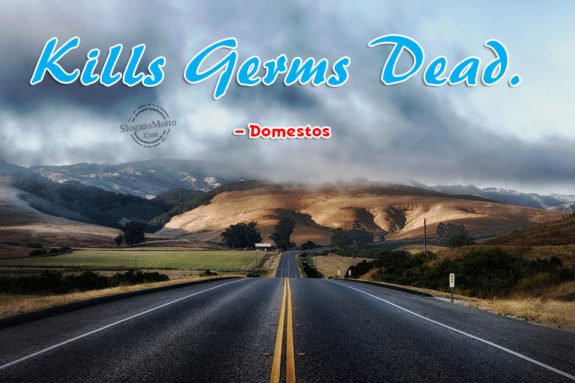Kills Germs Dead. – Domestos