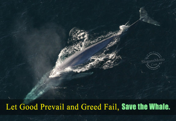 Let Good Prevail And Greed Fail