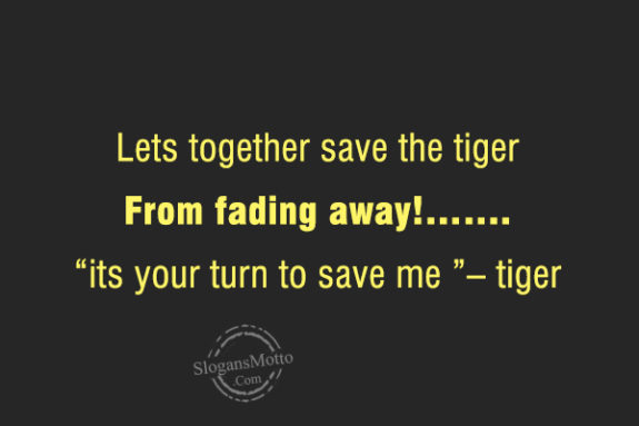 lets-together-save-the-tiger