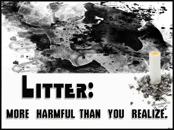 Litter more harmful than you realize