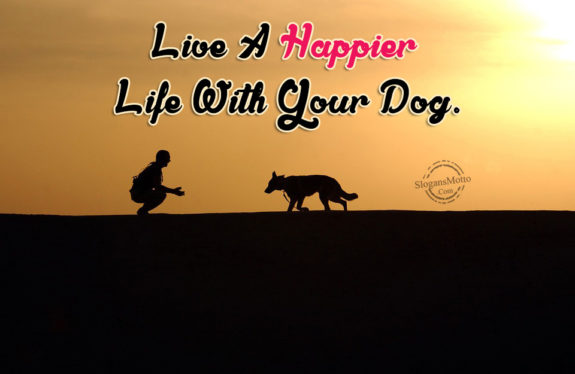 Live A Happier Life With Your Dog.