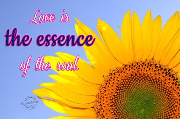 love-is-the-essence-of-the-soul