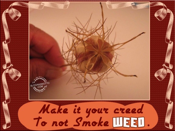 Make it your creed to not smoke weed