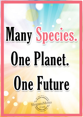 Many Species. One Planet. One Future