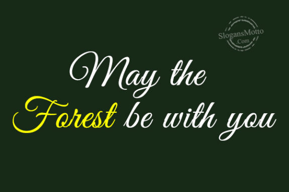 may-the-forest-be-with-you