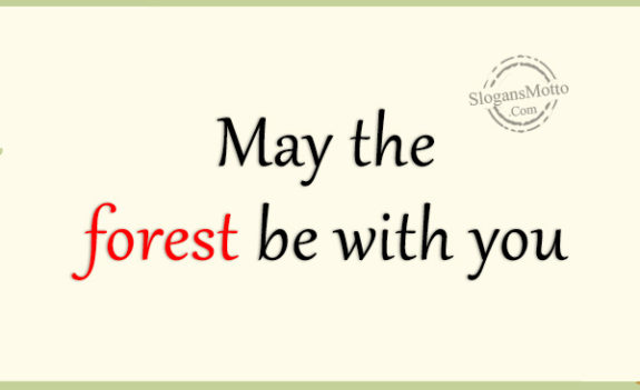 May the Forest be with you