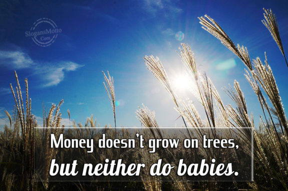 Money Doesn't Grow On Trees