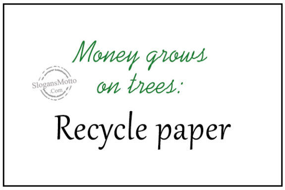 Money grows on trees: Recycle paper