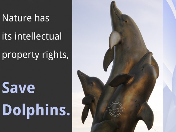 Nature has it’s intellectual property rights, save dolphins.