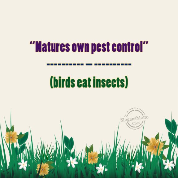  Natures Own Pest Control