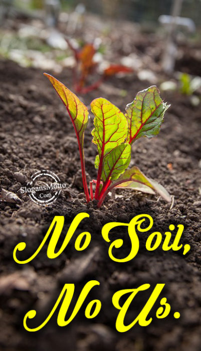 no-soil-no-us