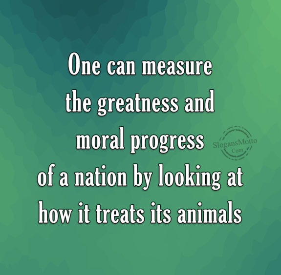 One Can Measure The Greatness