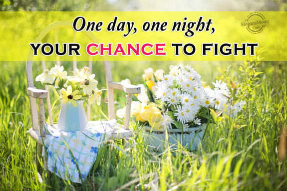 One day, one night, your chance to fight