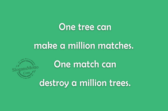 One tree can make a million matches. One match can destroy a million trees.