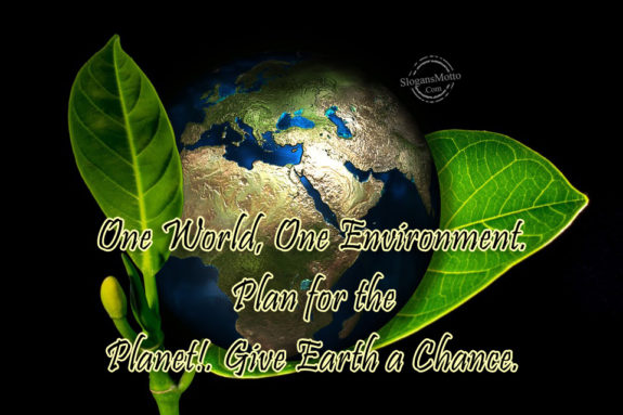 one-world-one-environment
