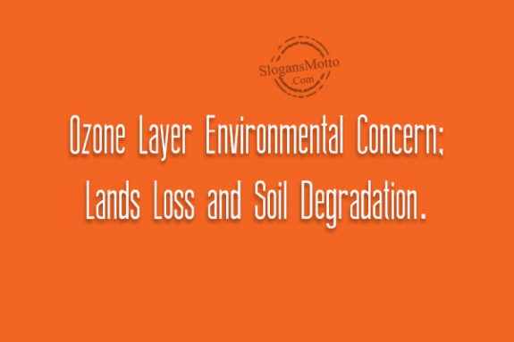 Ozone Layer Environmental Concern; Lands Loss and Soil Degradation.