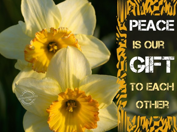 Peace is our gift to each other.