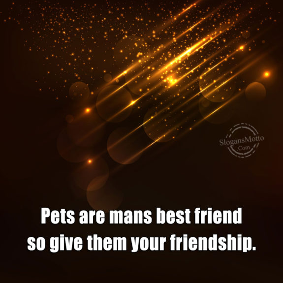 Pets Are Mans Best Friend