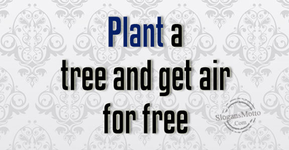 Plant a tree and get air for free.
