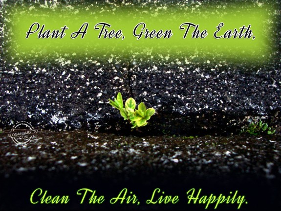 Plant a tree, green the earth, clean the air, live happily