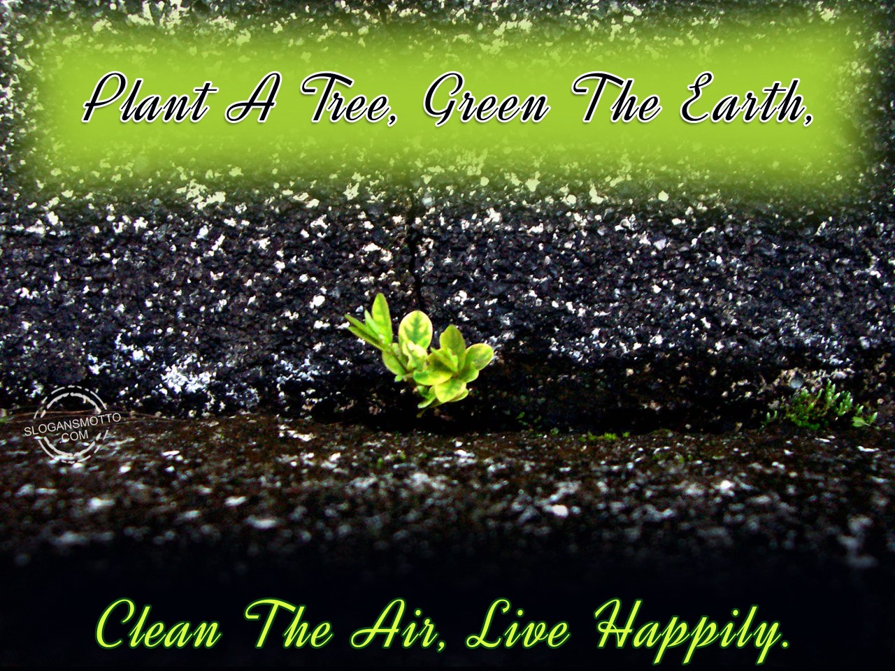 Plant a tree green the earth clean the air live happily