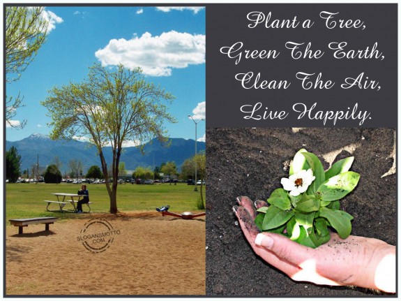 Plant a tree, green the earth, clean the air, live happily
