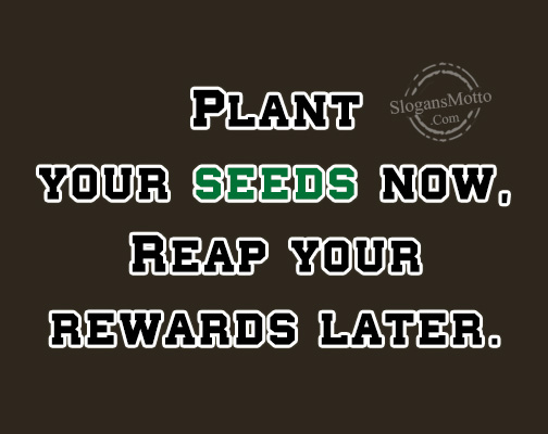 Plant your seeds now, Reap your rewards later.