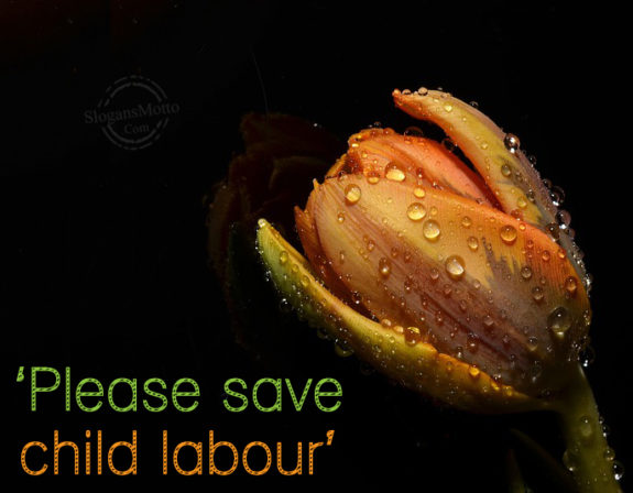 Please Save Child Labour