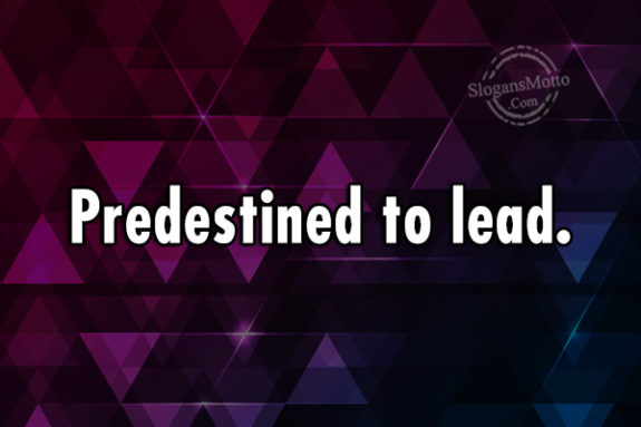 Predestined To Lead