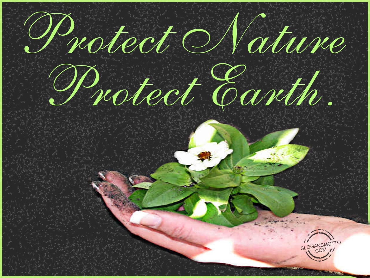 Earth Protection Poster With Slogan - The Earth Images Revimage.Org