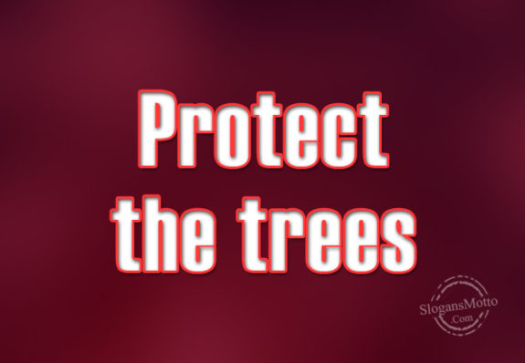 protect-the-trees